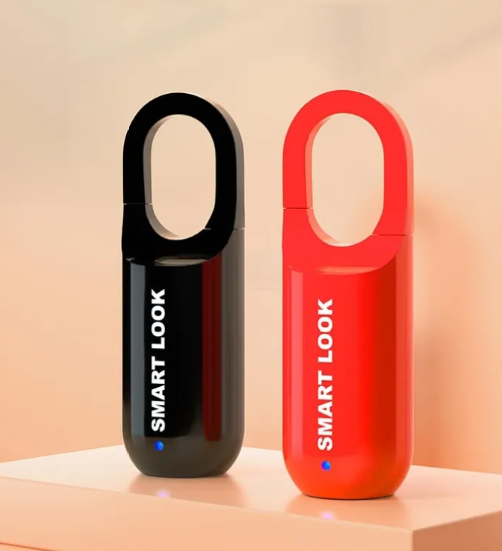 TravelEase Fingerprint Lock